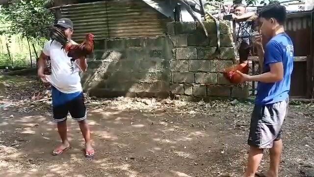 my gold in action