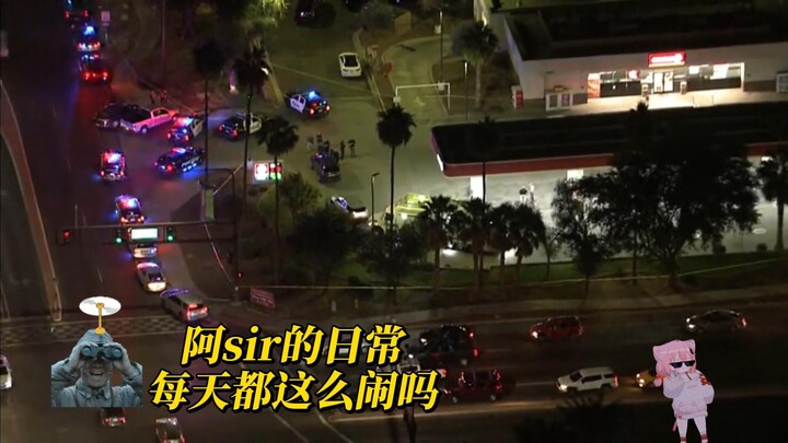 Dia dulunya seorang raja, sampai muncul seekor anjing husky.