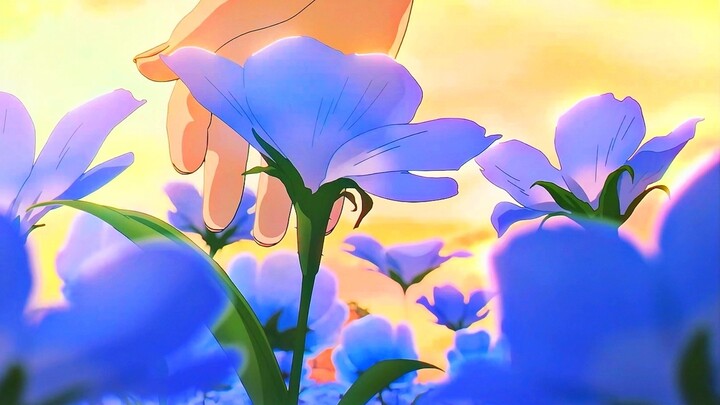 "Later, I saw the flowers in your hometown and fell in love with your favorite magic."