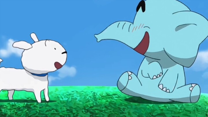 Tiểu Bạch! Gõ gõ con voi nhé～