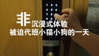 Ah... what a fulfilling night with the kittens and puppies!