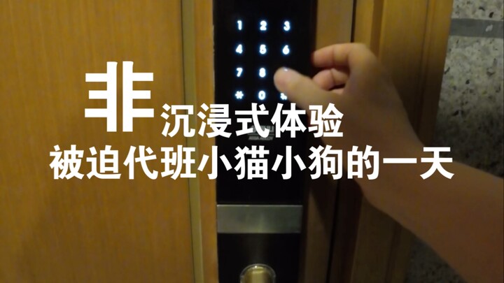 Ah... what a fulfilling night with the kittens and puppies!