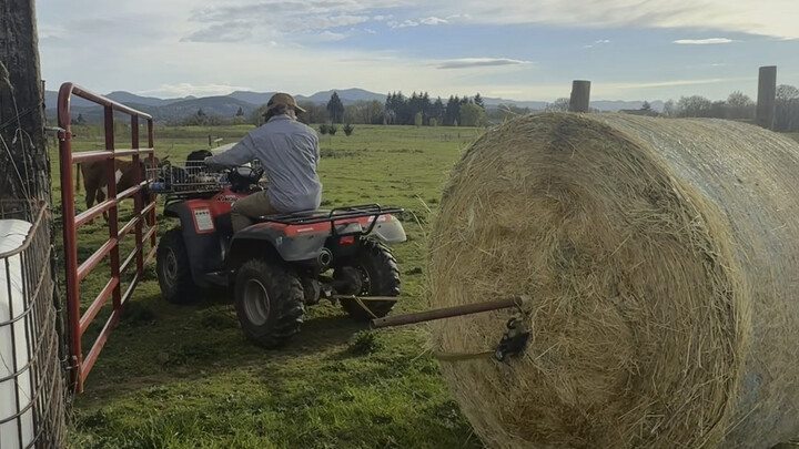 How to move a 400-kilogram hay bale