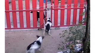 إنها لا تفهم لماذا يستطيع الجميع الخروج، لكنها لا تستطيع.