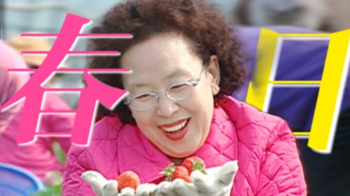 The annual Wenji Spring Frenzy is here! Go out and enjoy the spring—while this beautiful, fleeting s
