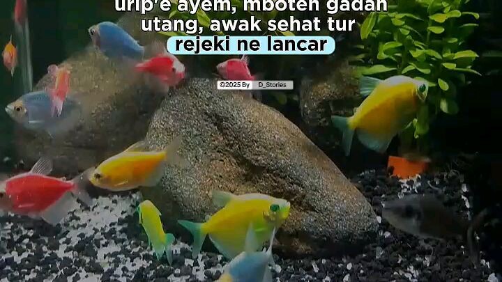 urip ayem