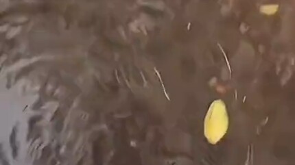 فشل الإقلاع