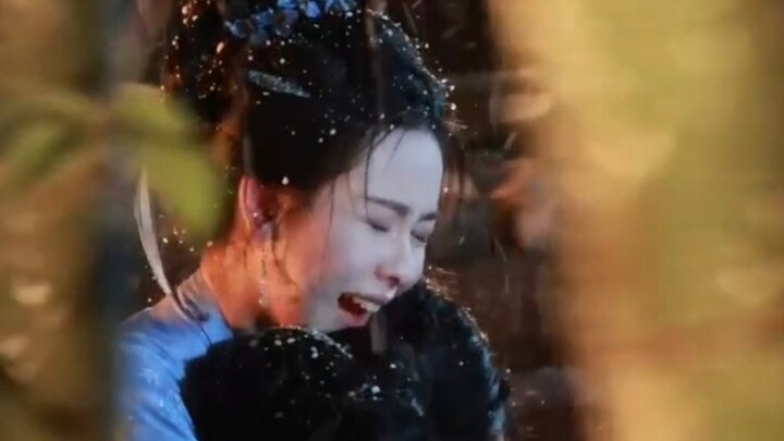 The rhododendron’s “bloody tears” that never fail to amaze—this one scene took six takes until Du wa