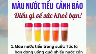 màu nước tiểu cảnh báo điều gì về sức khỏe????