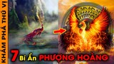 🔥 7 Bí Ẩn Ly Kỳ Và Thú Vị Về Phượng Hoàng- Loài Chim Thần Báo Hiệu Sự Huỷ Diệt Và Hồi Sinh | KPTV