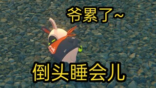 绝区零里主角控制的邦布咋这么可爱捏~