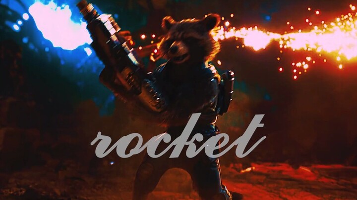 Little Raccoon: Let me fess up—I'm actually a robber!