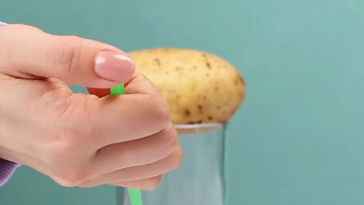 Fun Science Experiments Bring You Closer to Science