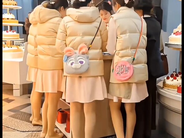 A Collection of Hollyland Ladies in Winter