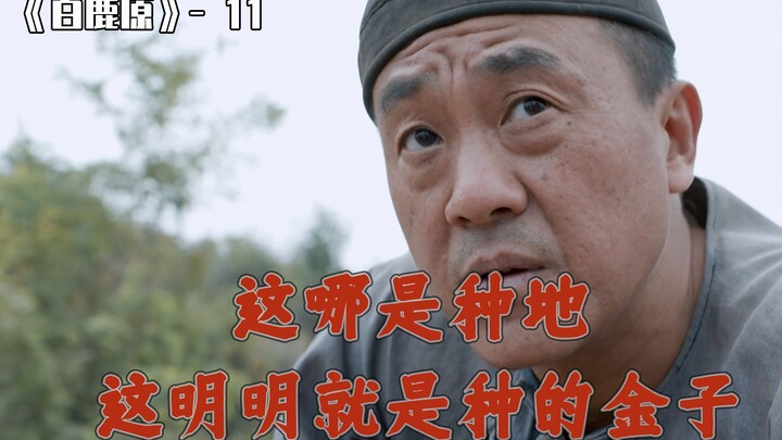 10 Anak Laki-Laki Mencalonkan Diri Jadi Kepala Suku, Tapi Ayah Kandung Malah Mati-Matian Dukung Oran