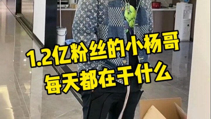 Saudara Xiao Yang sangat rajin; setiap hari hal pertama yang ia lakukan begitu tiba di kantor adalah