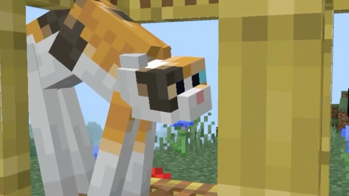 [MC Mod] My little cousin snuck my phone and used the diamonds I’d been saving for half a year to bu