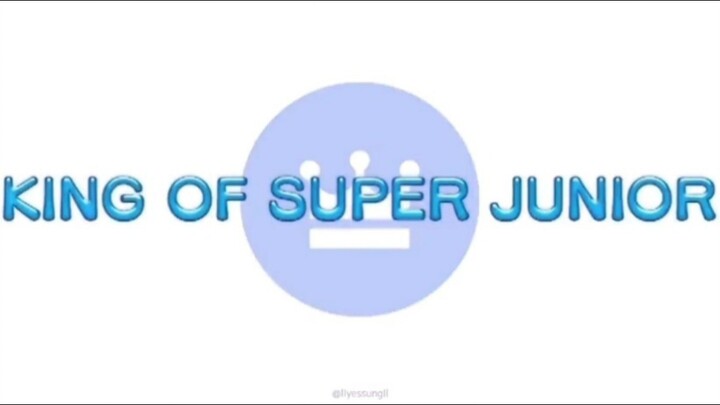 Super Show 8 in Japan Special