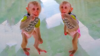 Wow, Amazing!! Tiny Yaya stands up & walking like a human to welcome Mom when taking her video