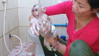 Mom Routine Bathing For Obedient Sono