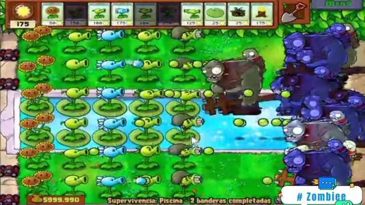 Biết thế chọn bắp cải