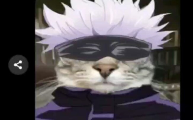 Gojo Satoru: Meow meow meow meow meow