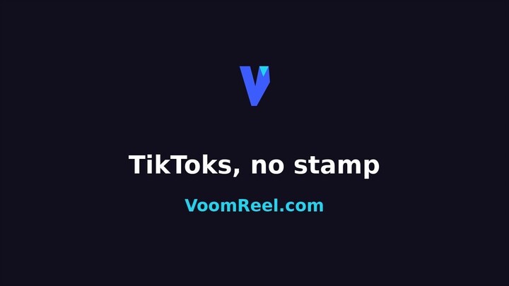 Save a TikTok in Seconds, No Watermark - Free