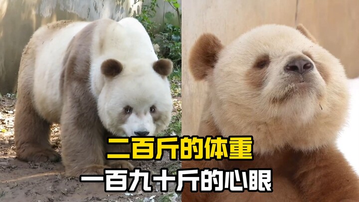 “Thất Tử: Để tôi nghe xem lại là ai đang nói xấu tôi!”