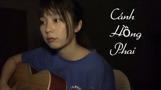 CÁNH HỒNG PHAI | Trang Phạm cover