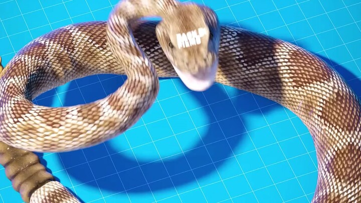 can a snake poisoned itself?🤔