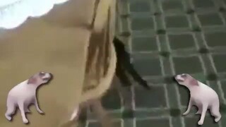 knight of meme