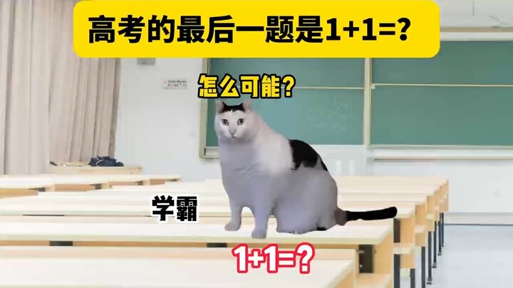 高考最后一道题，太难了
