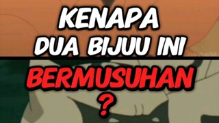 AWAL MULA PERTENGKARAN KURAMA DAN SHUKAKU 😂