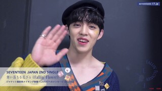 [TEASER] SEVENTEEN JAPAN 2ND SINGLE 「舞い落ちる花びら (Fallin' Flower)」CARAT盤 Blu-ray