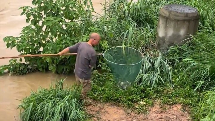 Hóa ra chỉ cần làm vậy là có thể bắt cá miễn phí!