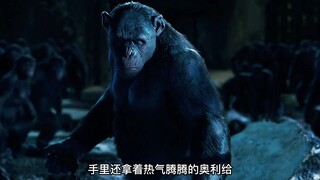 Để thoát khỏi lồng, chú khỉ đột thông minh này đã học cách làm bẫy! "Sự trỗi dậy của hành tinh khỉ"