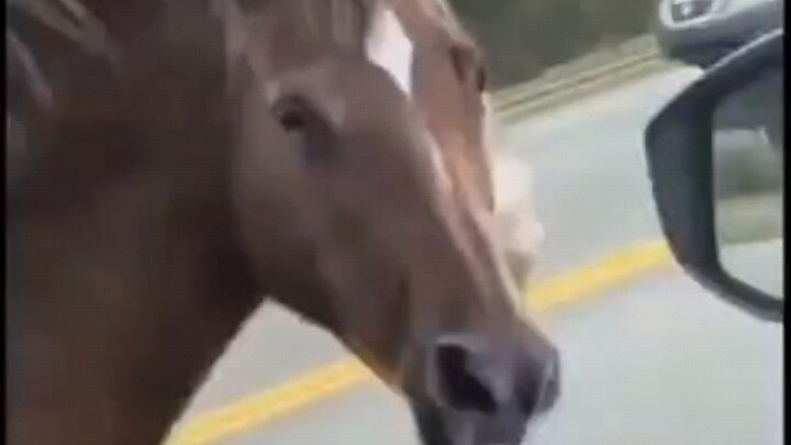 ⚠️احذر يا أوما⚠️