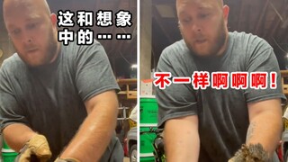 本想着救助野生动物，但没想到问题变得复杂起来了……