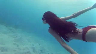 【Bilibili Most Beautiful Underwater World】Surprise Alert! Bikini Girls Go Diving with You!