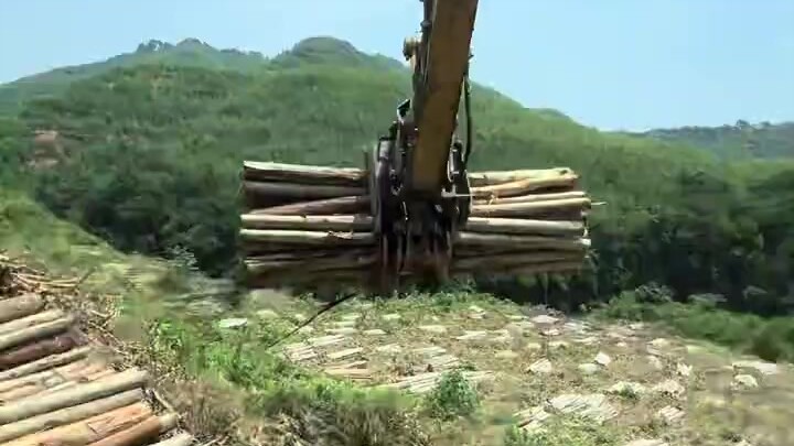开局一根铁链，全程都靠拉#抓木机 #夹木机 #拉木头 #挖机第一视角装车 #夹木头