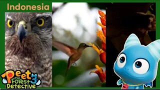 Aku Ingin Terbang - Peet The Forest Detective 3 (Bahasa Indonesia)