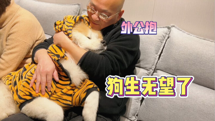 หมาตัวน้อย: ช่วงปีใหม่แบบนี้ ทำไมรู้สึกเหมือนผ่านวิกฤตมาเลยล่ะ?