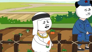 หากคุณทำฟาร์มไม่ได้ พื้นที่ขนาดใหญ่เช่นนี้ก็จะไม่สูญเปล่า