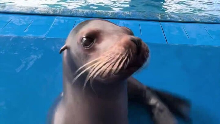 At first, everyone thought it was just an ordinary eggplant.