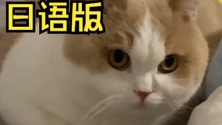 قطط غريبة الأطوار، لكن باللغة اليابانية