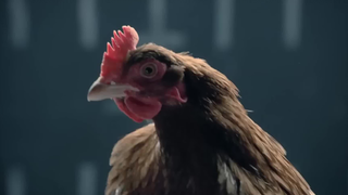 The famous Mercedes-Benz ad featuring chicken clucking was hilariously roasted by Jaguar, hahaha!