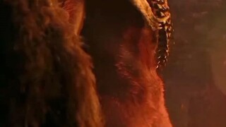 KONG VS SCAR KING