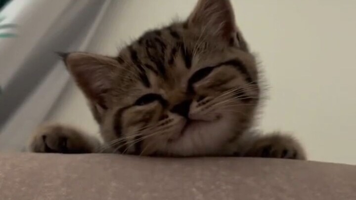 Please keep smiling~