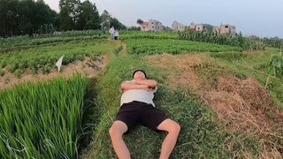 Hưng Troll _ (Tập 8) Bài Học Nhớ Đời Cho Kẻ Giám Bắt Nạt Trẻ Trâu  (Ăn Phải