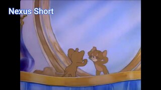 Tom & Jerry (Ep 6.3) Crush của mèo Tom (phần 3) #TomandJerry